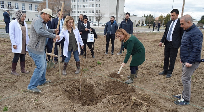 MTÜ Kampüsüne Örnek Kayısı Bahçesi