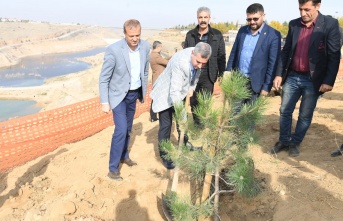 '11 Milyon Ağaç, Geleceğe Bırakılan En Büyük Mirastır'