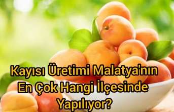 Malatya'da kayısı üretimi  en çok hangi ilçede yapılıyor ?