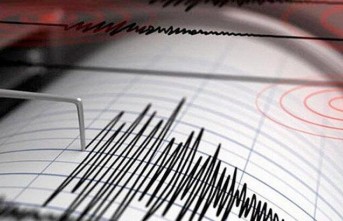 Elazığ'daki Deprem Malatya'da Hissedildi