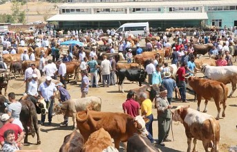 Malatya Hayvan Pazarı Koronavirüs Nedeniyle Kapatıldı