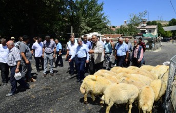 Yeşilyurt'ta Kurban Bayramı Tedbirleri