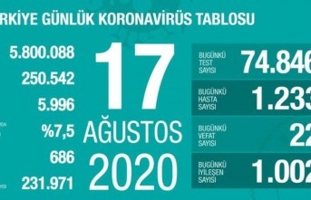 17 Ağustos  Corona Vaka Sayısı