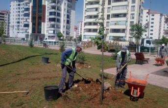 Yeşilyurt Belediyesi Parkların Temizliğine ve Bakımına Önem Veriyor