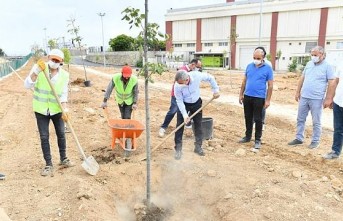 Yeşilyurt Bölgesinin Değeri Artıyor