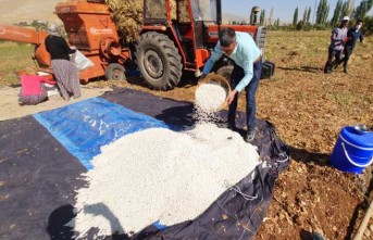 Doğanşehir Fasulyesi Esenlik Süpermarketler’de