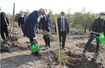 Battalgazi Belediyesi Malatya'yı Yeşillendiriyor