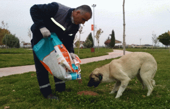 Yeşilyurt Belediyesi Sokak Hayvanlarını Unutmadı