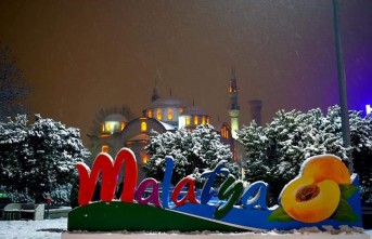 Malatya nüfusu 806 156 kişi oldu