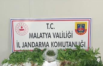 Malatya#39;da Narkotik Suçlarla Mücadele Kesintisiz Devam Ediyor: 3 Tutuklama