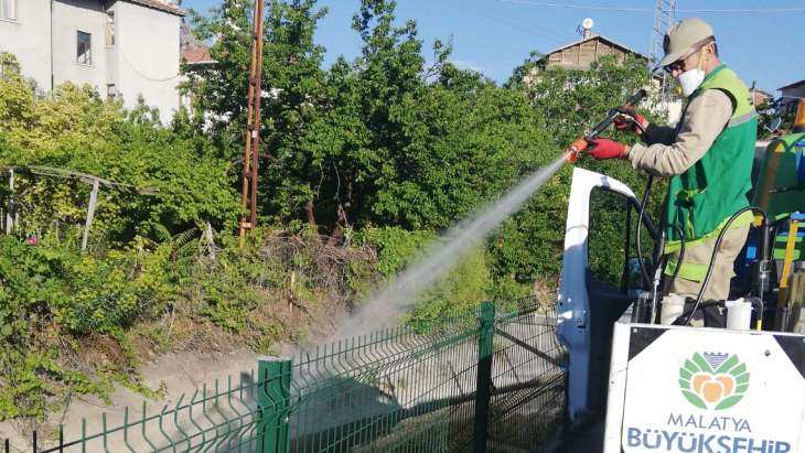 Haşereyle Mücadele Yoğun Bir Şekilde Devam Ediyor