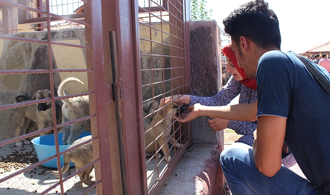 'Kendine ve Kentine Saygı Duy'