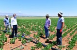 Başkan Çınar, Tarımsal Üretim-ARGE sahasını inceledi