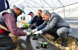 Başkan Çınar, 'Seracılıkta 21 bin 225 kilo doğal ve organik ürün hasadı yapıldı'