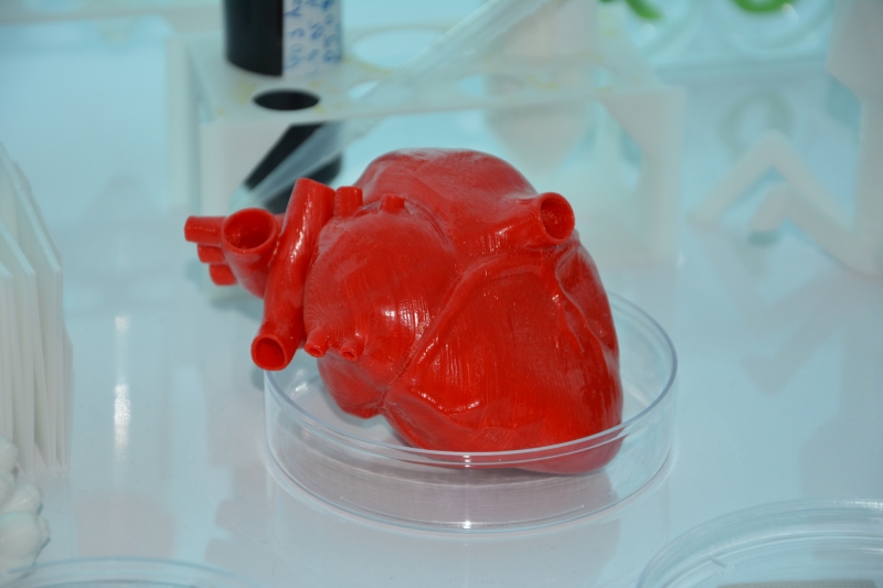 Türk bilim insanları kök hücre ve 3D biyo-yazıcı ile ‘kalp’ üretecek