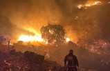 Akçadağ'da çıkan yangın korkuttu