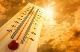 Malatya'da Hava Sıcaklıkları Artıyor