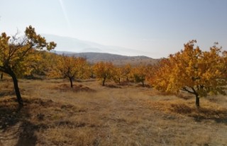 Tarım Arazileri Dronlar İle Gözlemlenecek