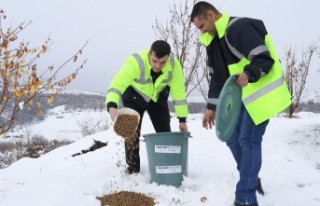 'Onları Koruyalım, Sevelim, Sahip Çıkalım'