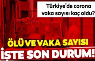 Bakan Koca Yeni Vaka Sayısını Açıkladı! 22 Mayıs