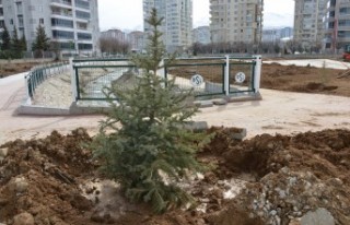 Yeşilyurt'ta Parkların Bakımına Devam Ediliyor