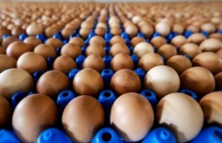 Yumurta'da ki Fiyat Artışından Vatandaş Şikayetçi