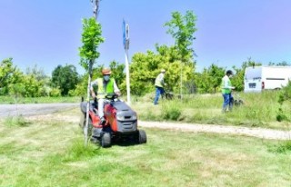 Parklarda yenileme ve düzenleme çalışması sürüyor