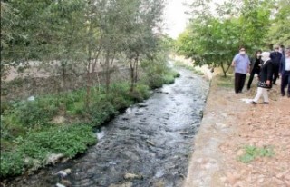 Milletvekili Çalık, Gündüzbey’de