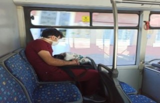 Otobüste Uyuya Kalan Hemşire Görenleri Duygulandırdı