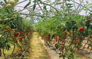 Yeşilyurt'ta tarım projeleri artıyor