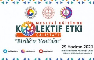 Mesleki Eğitimde Kolektif Etki Çalıştayı düzenlenecek 