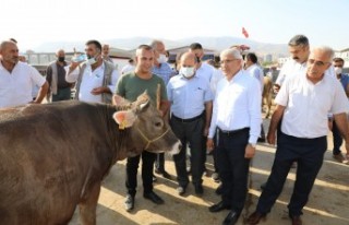 Başkan Gürkan Ve Başkan Güder, Canlı Hayvan Pazarı’nı...