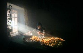 Ulusal Battalgazi Kayısı Hasadı Fotoğraf Yarışması...