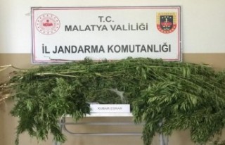 Malatya'da 1 kilo esrar ele geçirildi