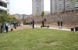 Fırat Mahallesindeki Yeni Park Yapımında Sona Yaklaşıldı