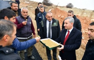 Tecde Mahallemizi Güzel ve Akıcı Yollarla Buluşturuyoruz