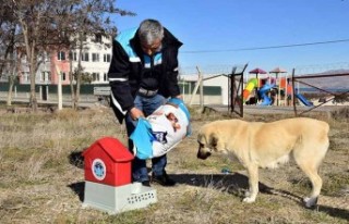 Battalgazi’de Can Dostlar İçin 19 Yeni Besleme...