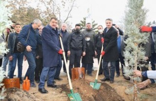 Hemşeri Dernekleri Orduzu Pınarbaşı’nda ağaç...
