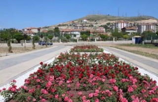 Battalgazi’deki Gül Bahçesinde Çalışmalar Sürüyor