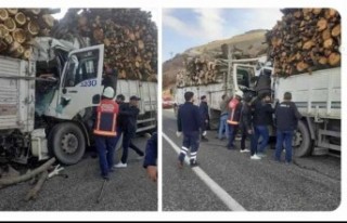 Odun Yüklü Kamyonun Freni Patladı