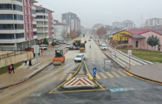 Göztepe Mahallesi Akgeyik Caddesi’nde yol bakım...