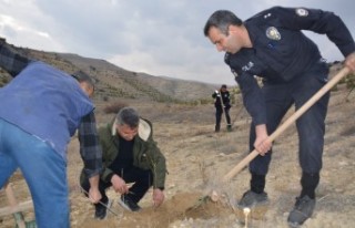 Şehit Polis Ramazan Tülek'in anısına 60 kök...