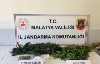 Jandarmadan Esrar ve Kenevir Operasyonu
