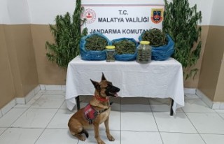 Uyuşturucu Operasyonu: 3 Tutuklama