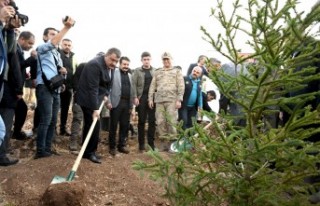 Cumhuriyetin 100. Yılı anısına binlerce fidan...