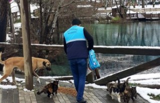 Battalgazi Belediyesi Soğukta Açlıkla Mücadele...