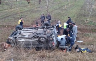Malatya'da Otomobil şarampole uçtu: 8 yaralı