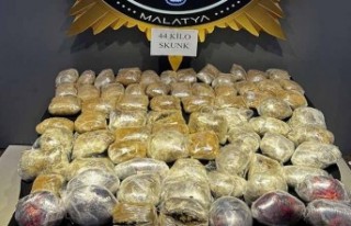 44 Kilo Skunk Ele Geçirildi