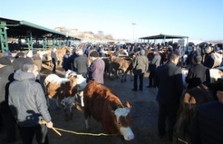 Sahte Altınla Kurban Dolandırıcılığı