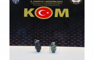 Şüphe üzerine durdurulan araçta 2 el bombası